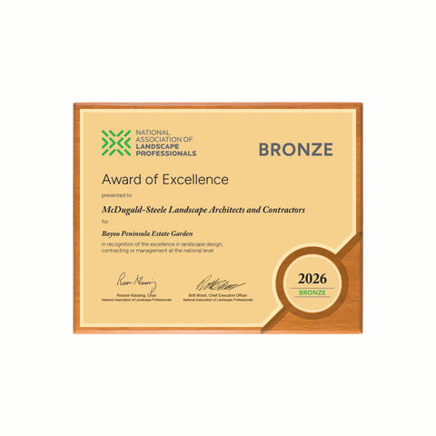 BRONZE AWARD
