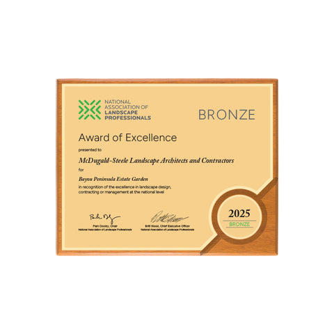 BRONZE AWARD
