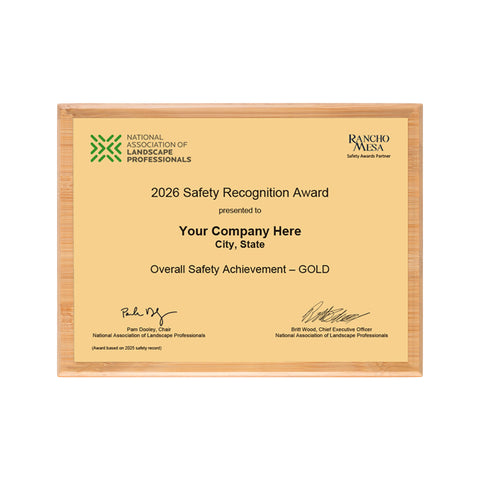 SAFETY - Overall Achievement Gold