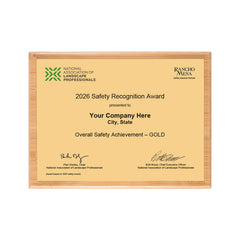 SAFETY - Overall Achievement Gold